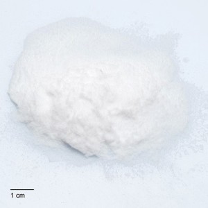 GLASSCELL 10